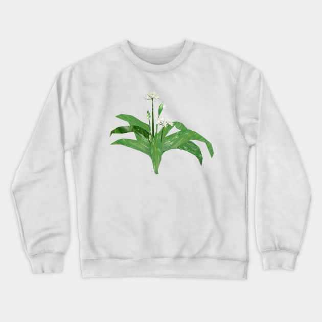 Ramson (Wild Garlic) Crewneck Sweatshirt by Babban Gaelg